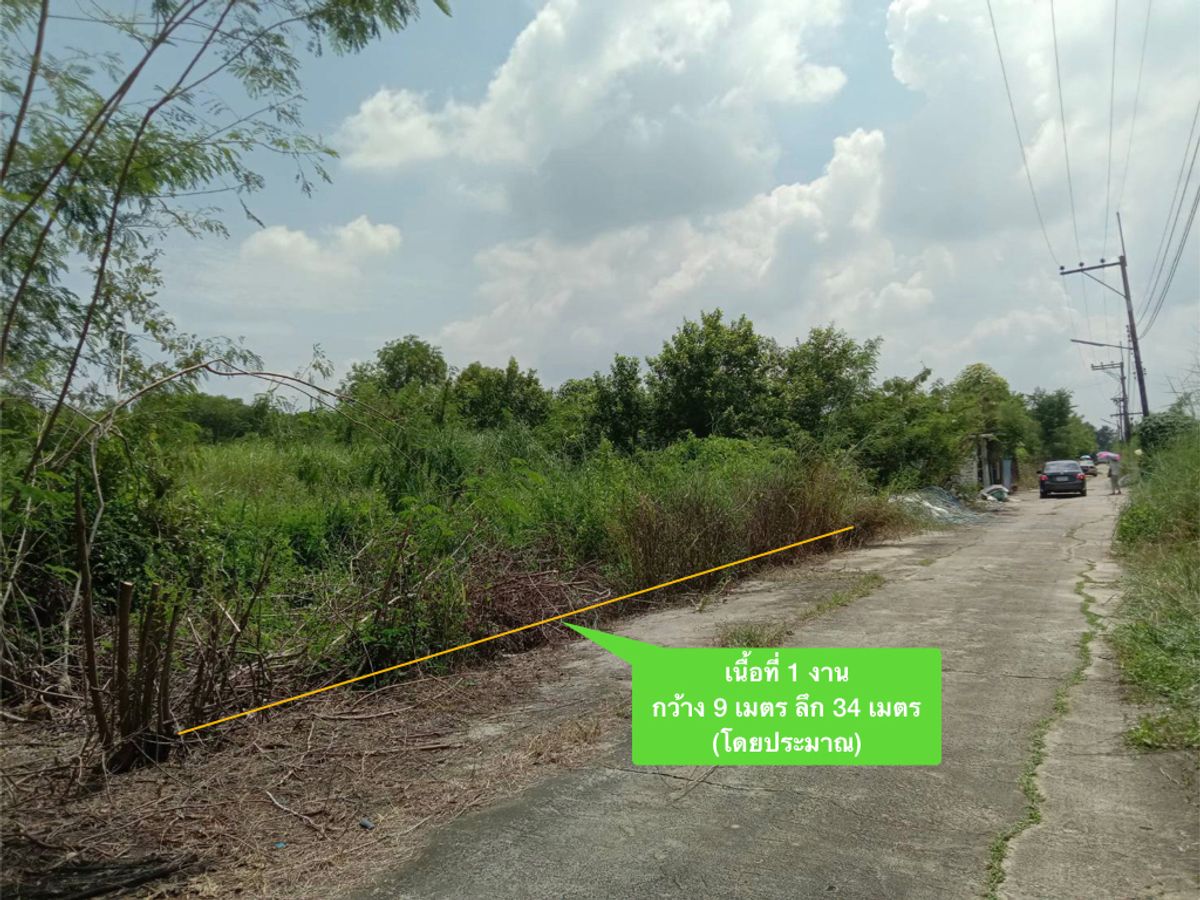 For SaleLandPathum Thani,Rangsit, Thammasat : Cant find this price anymore. Land in Nong Suea, 100 square meters, near Wat Pa Khlong 11, Pathum Thani.