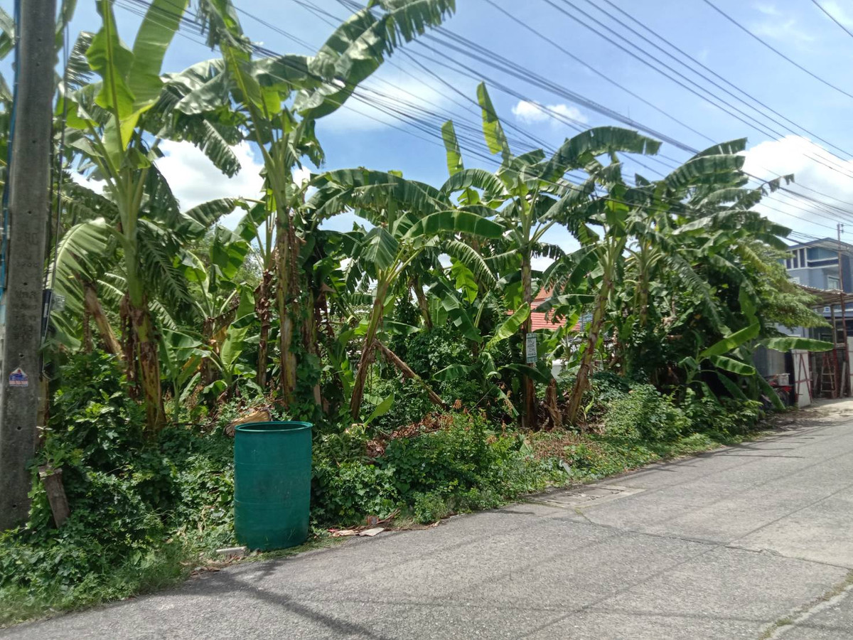 ขายที่ดินปทุมธานี รังสิต ธรรมศาสตร์ : ที่ดินคลอง2 (ซอยรังสิต-นครนายก33) ใกล้ตลาดพระรูป 1.35 ล้าน หาราคานี้ไม่ได้อีกแล้ว