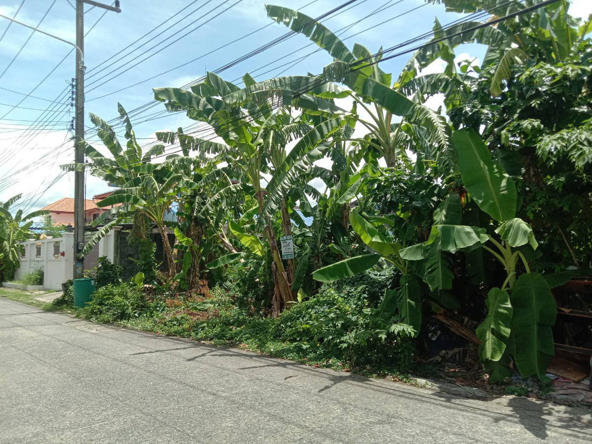 ขายที่ดินปทุมธานี รังสิต ธรรมศาสตร์ : ที่ดินคลอง2 (ซอยรังสิต-นครนายก33) ใกล้ตลาดพระรูป 1.35 ล้าน หาราคานี้ไม่ได้อีกแล้ว