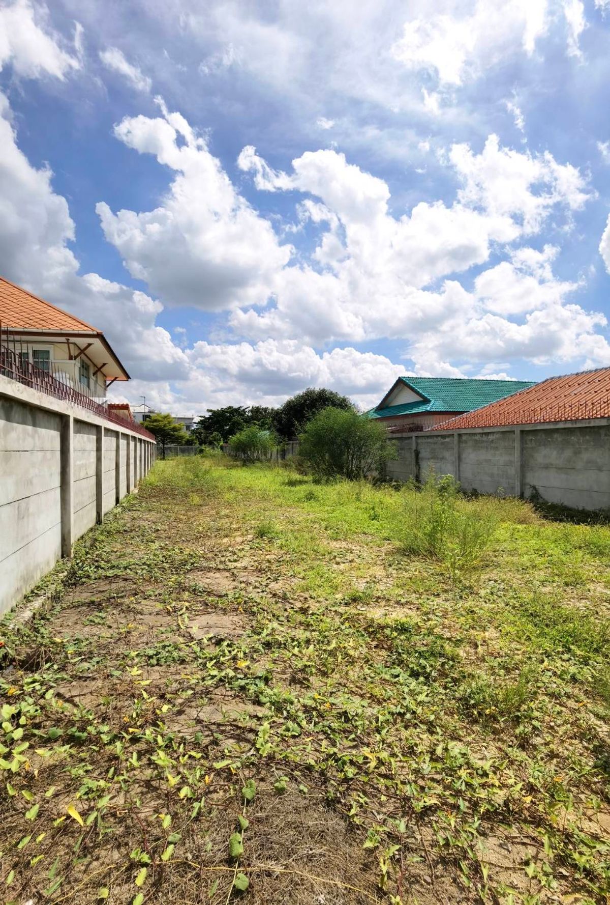 ขายที่ดินพุทธมณฑล ศาลายา : The Best Spot! ที่ดินแปลงสวย 1-1-60 ไร่ ริมถนนบางเชือกหนัง ทำเลทองติดถนนพระเทพฯ พร้อมพัฒนาทันที! 🔥