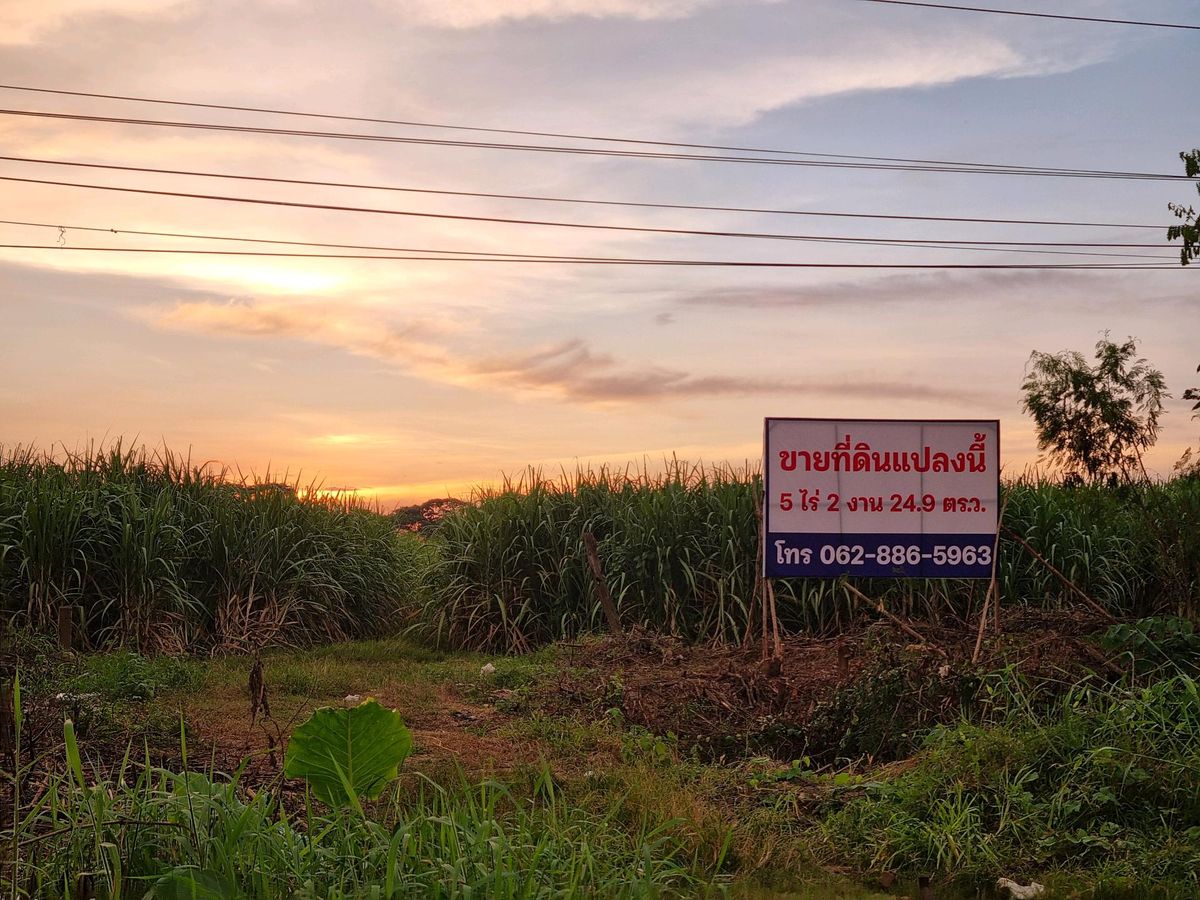 For SaleLandKanchanaburi : Land for sale next to the main road, Tha Ruea Subdistrict, Tha Maka District, Kanchanaburi Province.