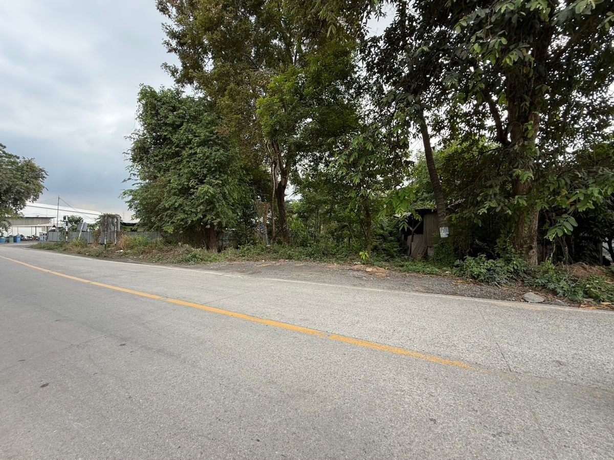 ขายที่ดินศรีราชา แหลมฉบัง บ้านบึง : ขายที่ดินสวย !! ต.หนองขาม อ.ศรีราชา จ.ชลบุรี