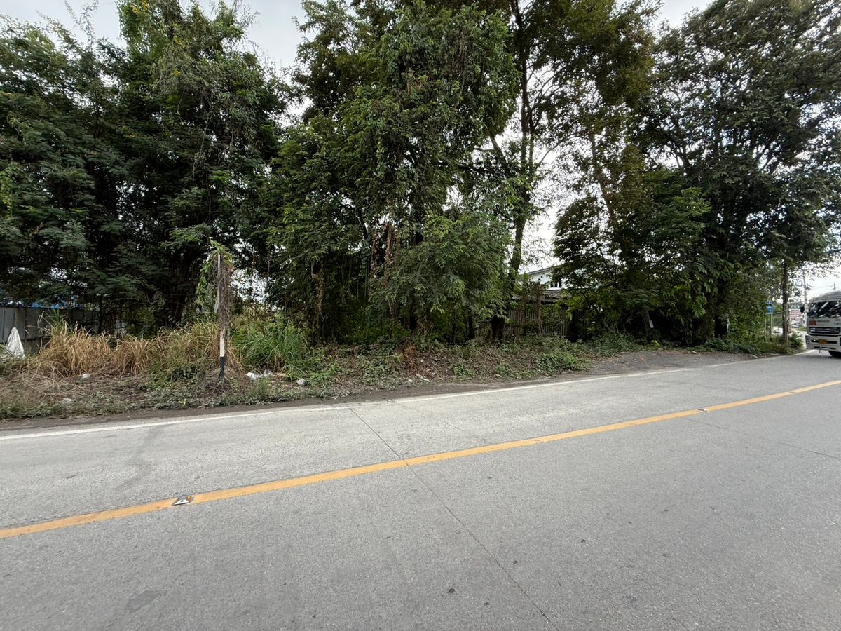 ขายที่ดินศรีราชา แหลมฉบัง บ้านบึง : ขายที่ดินสวย !! ต.หนองขาม อ.ศรีราชา จ.ชลบุรี