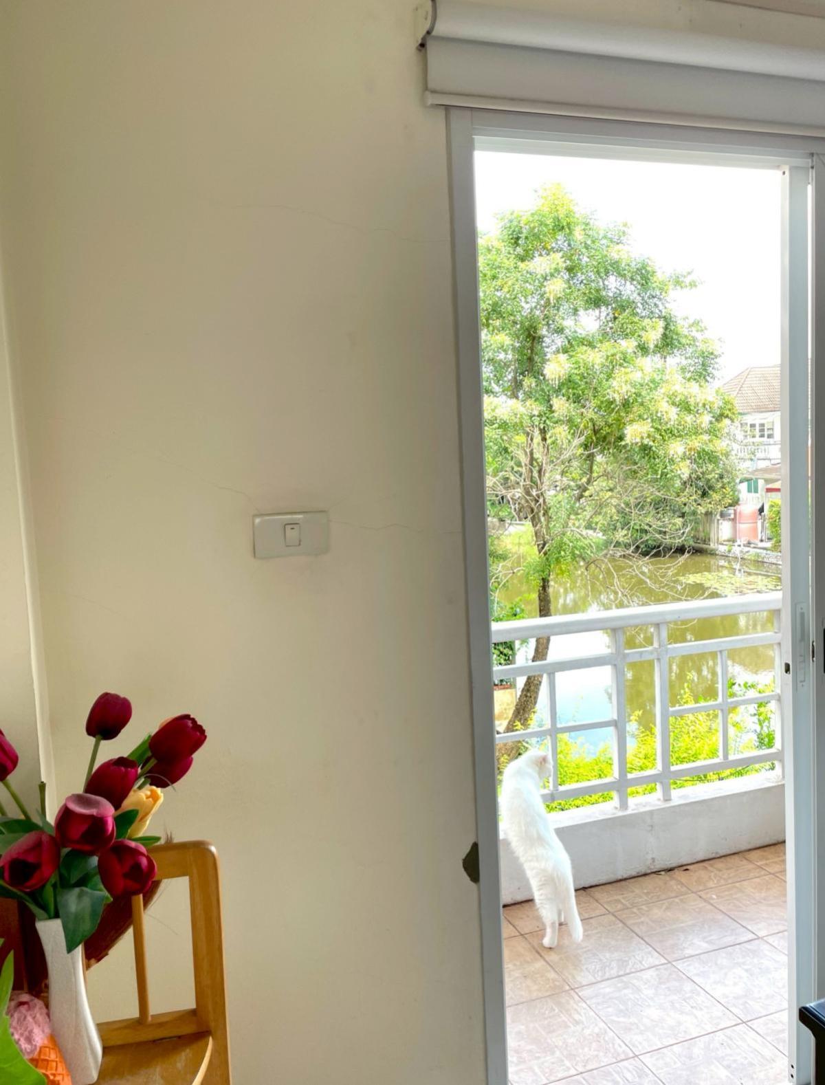 ขายบ้านมีนบุรี-ร่มเกล้า : ขายบ้าน  กฤษดานคร 25 ห้องมุม ทรายกองดินใต้ เขต คลองสามวา กรุงเทพ CX-133318