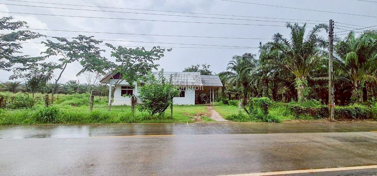 For SaleLandSa Kaeo : Land 54 rai 139 sq m, complete! Rubber plantation – palm plantation – house – water used all year round, Sa Kaeo Province