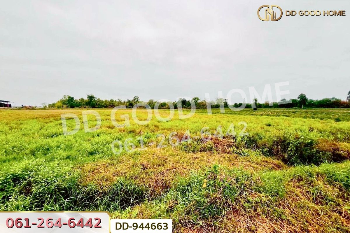 ขายที่ดินอุดรธานี : DD-944663 ที่ดินหนองหว้า 44 ไร่ 119 ตร.ว. กุมภวาปี อุดรธานี ใกล้สำนักงานเทศบาลตำบลห้วยเกิ้ง