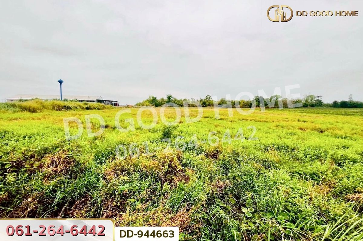 ขายที่ดินอุดรธานี : DD-944663 ที่ดินหนองหว้า 44 ไร่ 119 ตร.ว. กุมภวาปี อุดรธานี ใกล้สำนักงานเทศบาลตำบลห้วยเกิ้ง