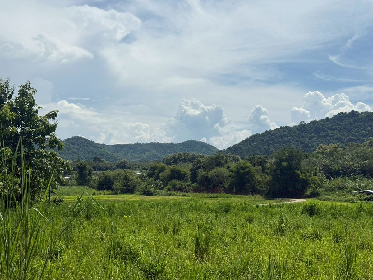 ขายที่ดินเลย : ขายบ้านตากอากาศพร้อมที่ดิน 1 ไร่เศษ เชิงเขา ตรงข้ามค่ายศรีสองรัก จังหวัดเลย 