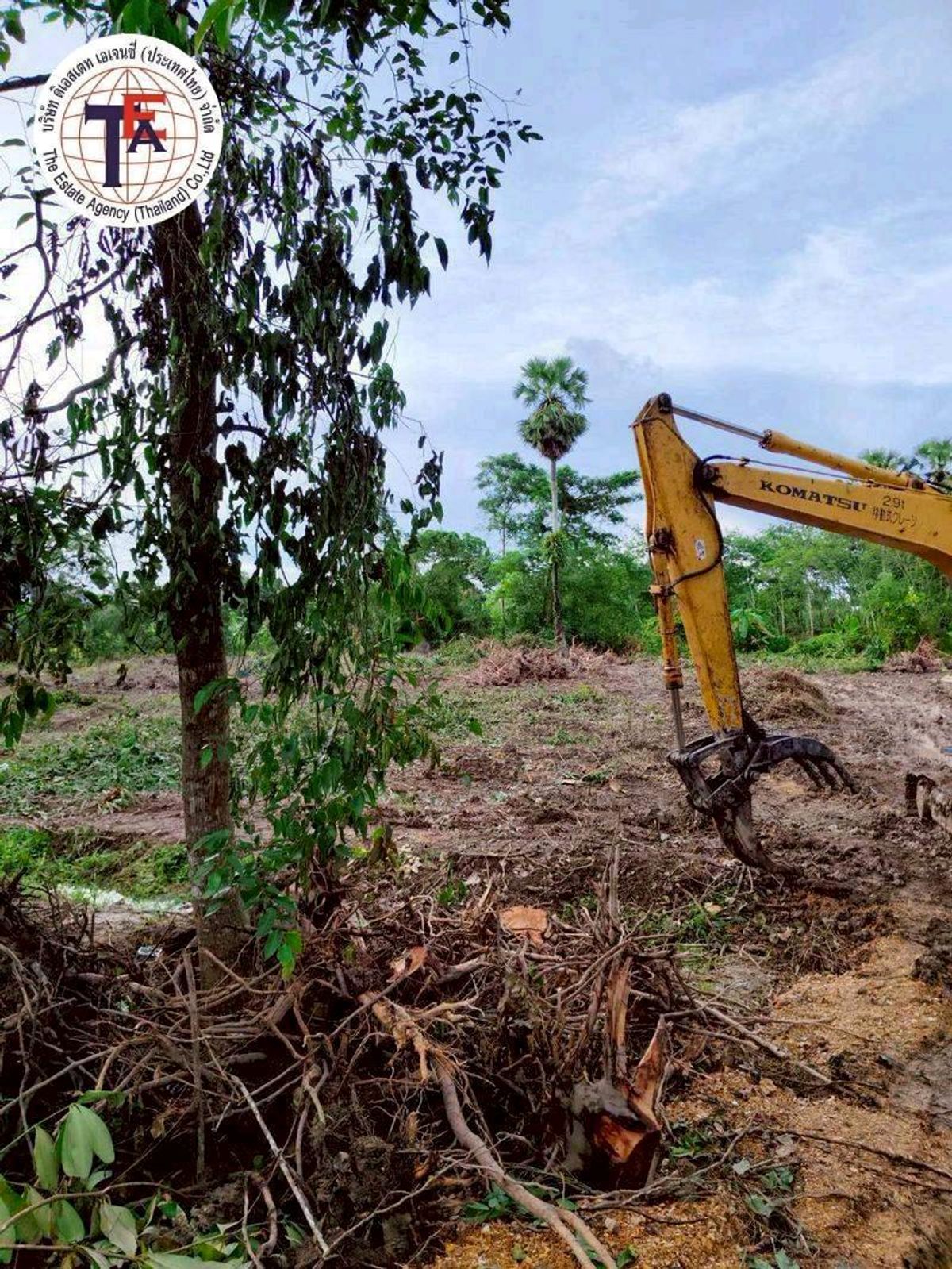 ขายที่ดินหาดใหญ่ สงขลา : ขายที่ดิน บ้านหนองม่วง วัดม่วงหอม ราคาต่ำกว่าประเมิน บางกล่ำ สงขลา