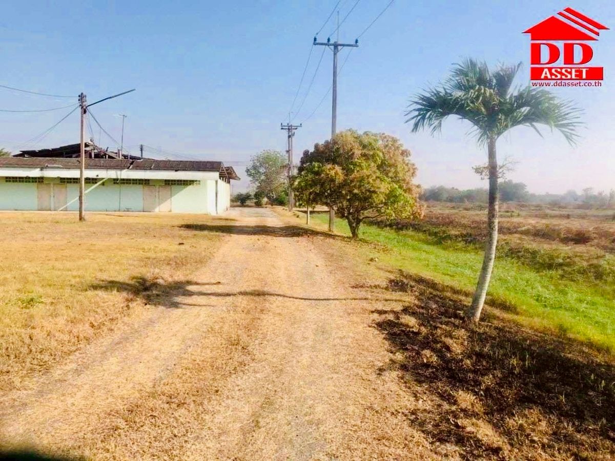 For SaleLandPattaya, Bangsaen, Chonburi : Land for sale in Chonburi, Nong Hong, Phan Thong, Chonburi Code: L8047