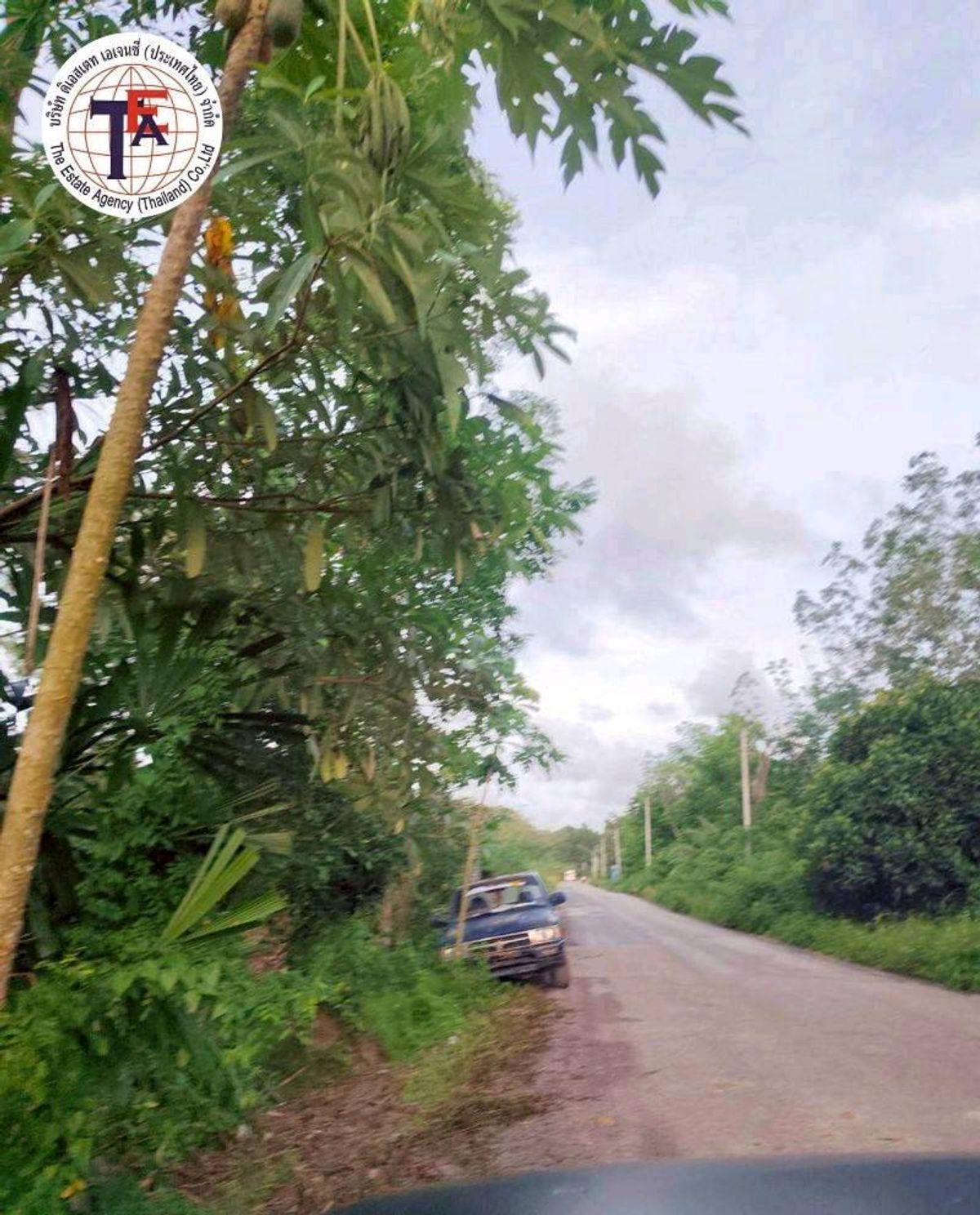 ขายที่ดินหาดใหญ่ สงขลา : ขายที่ดิน บ้านหนองม่วง วัดม่วงหอม ราคาต่ำกว่าประเมิน บางกล่ำ สงขลา