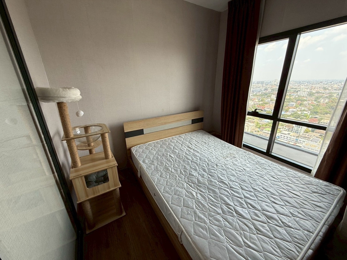 ให้เช่าคอนโดรามคำแหง หัวหมาก : 🐶 Pet Friendly Condo 🐶