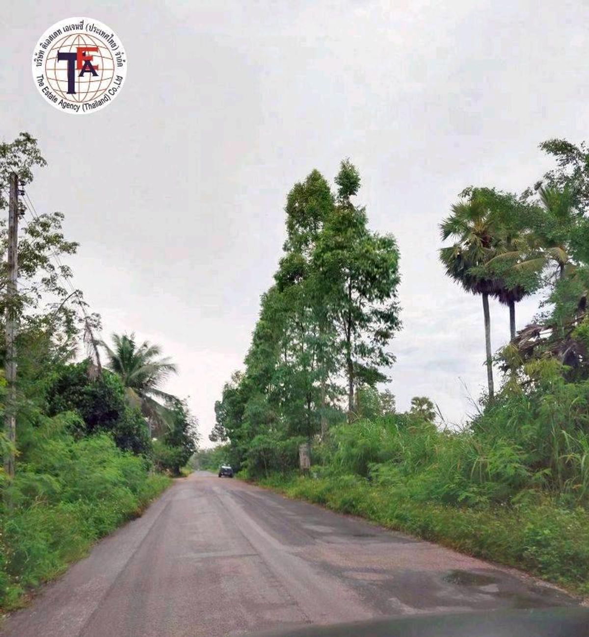 ขายที่ดินหาดใหญ่ สงขลา : ขายที่ดิน บ้านหนองม่วง วัดม่วงหอม ราคาต่ำกว่าประเมิน บางกล่ำ สงขลา