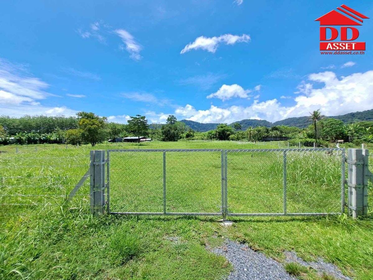 ขายที่ดินภูเก็ต : ขายที่ดิน ภูเก็ต อ.ถลาง บ้านควน ใกล้ที่ว่าการอำเภอถลาง รหัส : L8048