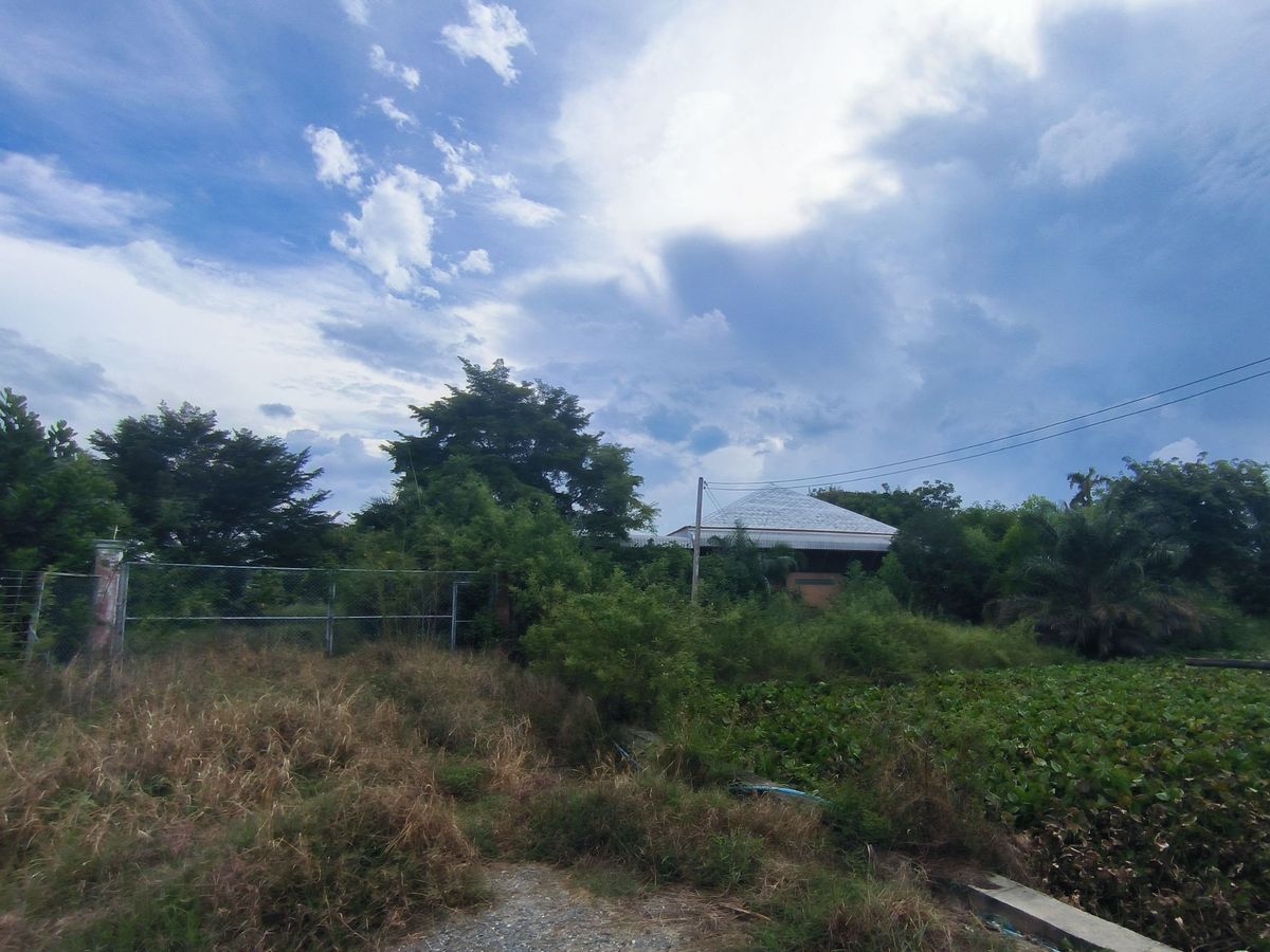 ขายที่ดินนครปฐม : ขายที่ดิน 16 ไร่ อ.บางเลน จ.นครปฐม ติดทางหลวง 3351