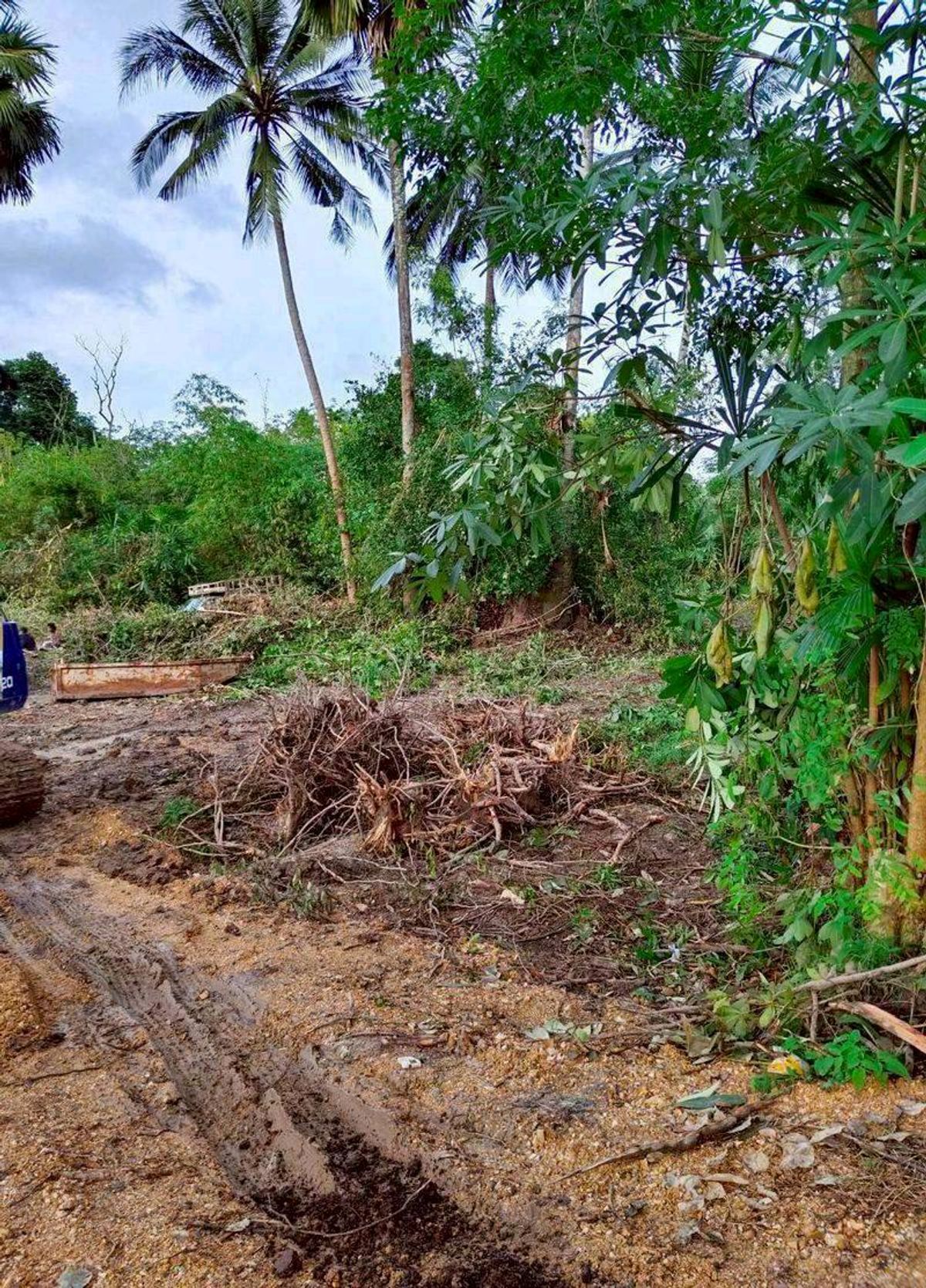 For SaleLandHatyai Songkhla : Land for sale, Ban Nong Muang, Wat Muang Hom, price lower than appraisal, Bang Klam, Songkhla.