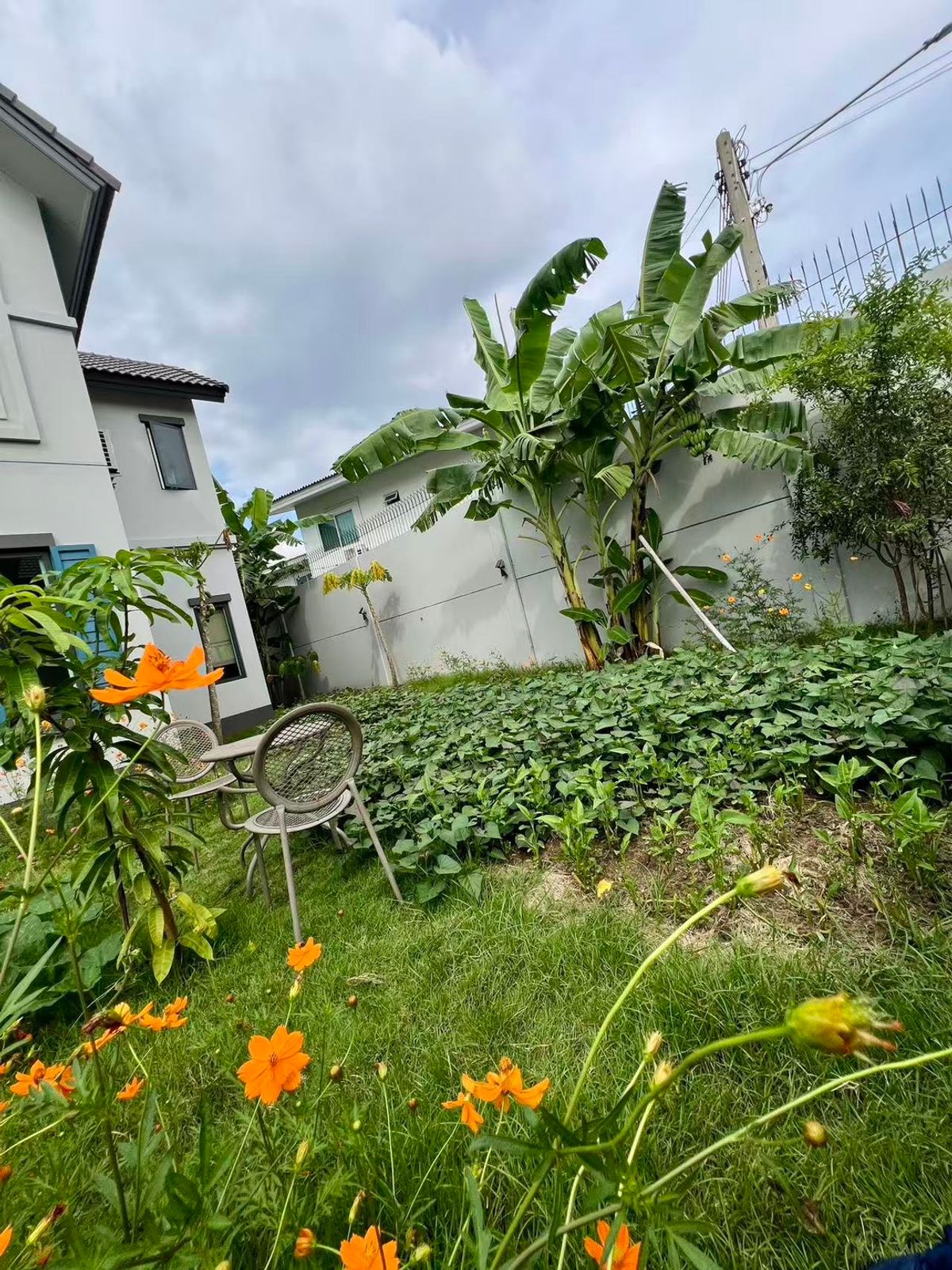 ให้เช่าบ้านมหาชัย สมุทรสาคร : ให้เช่าบ้านเดี่ยว Anasiri Rama 2-Wongwaen บ้านสไตล์เมดิเตอร์เรเนียน ติดถนนพระราม 2 ใกล้ทางด่วนใหม่!!