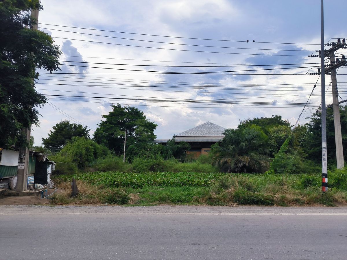 ขายที่ดินนครปฐม : ขายที่ดิน 16 ไร่ อ.บางเลน จ.นครปฐม ติดทางหลวง 3351