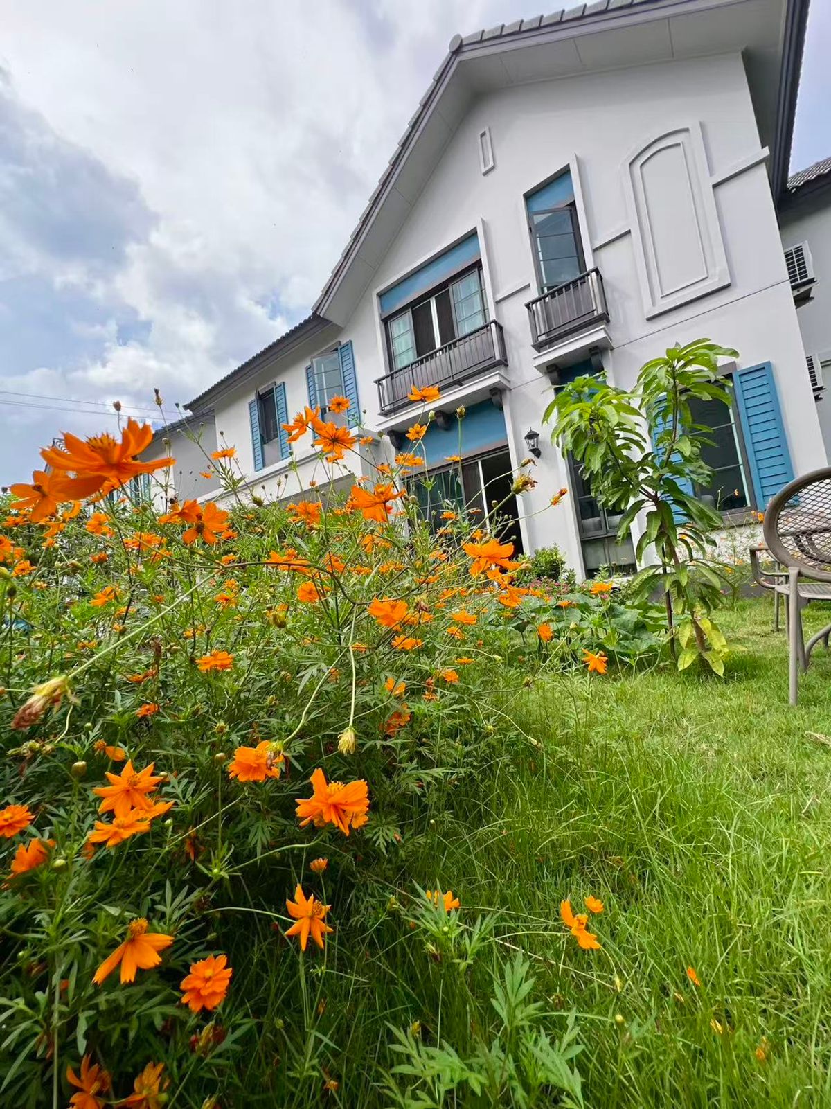 ให้เช่าบ้านมหาชัย สมุทรสาคร : ให้เช่าบ้านเดี่ยว Anasiri Rama 2-Wongwaen บ้านสไตล์เมดิเตอร์เรเนียน ติดถนนพระราม 2 ใกล้ทางด่วนใหม่!!