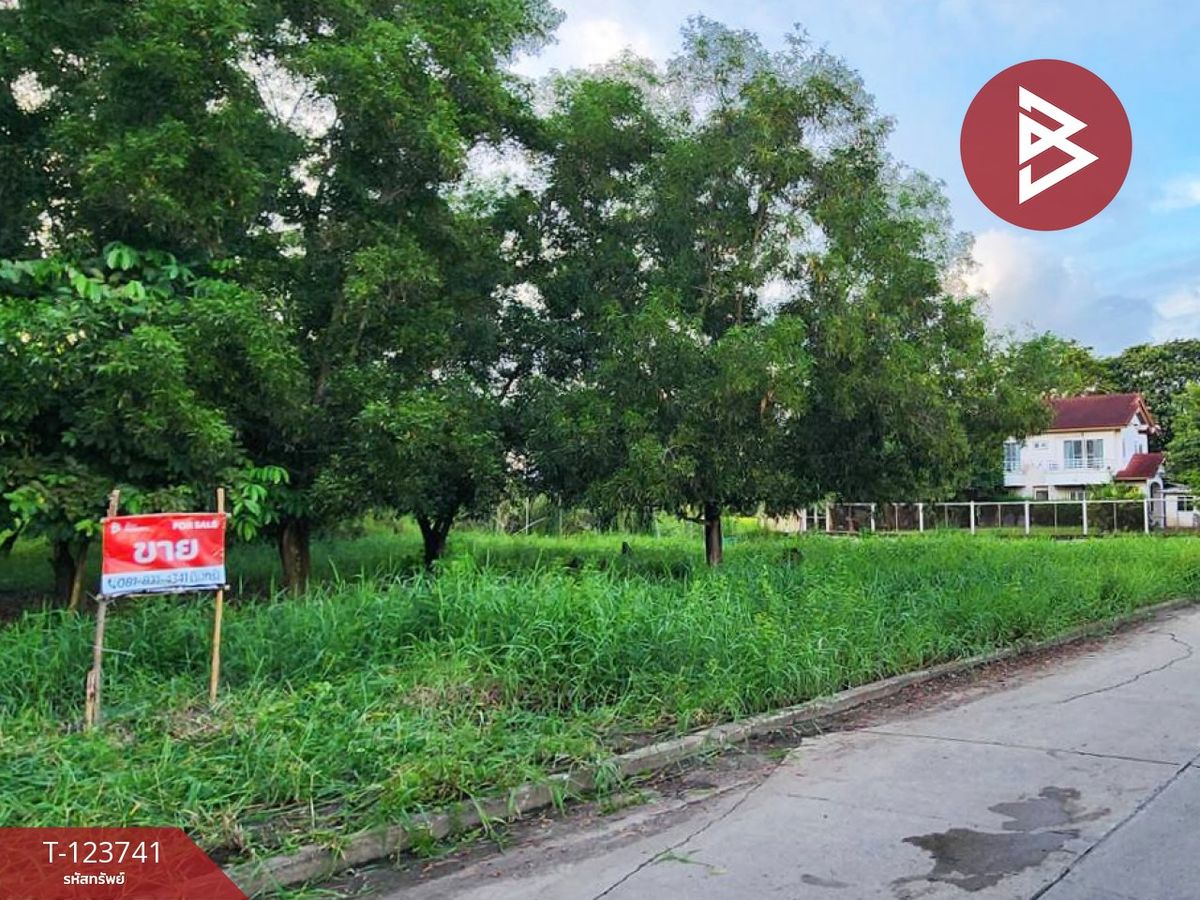 For SaleLandPathum Thani,Rangsit, Thammasat : Beautiful plot of land for sale, area 94.3 square meters, Khlong Sam, Pathum Thani, next to the main road, Khlong Luang.