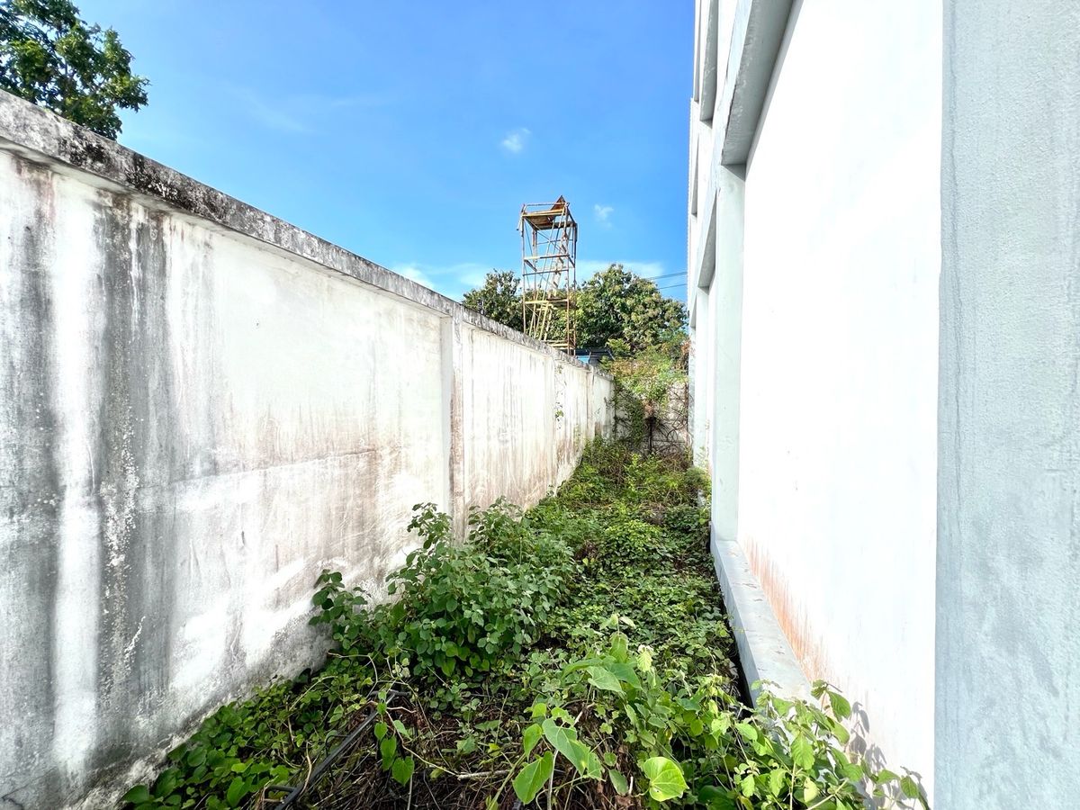 ขายอาคารพาณิชย์บางนา แบริ่ง ลาซาล : ขายถูกอาคารพาณิชย์ 2 คูหา 4 ชั้น 70 ตารางวา ใกล้ BTS แบริ่ง ทำเลดี เดินทางสะดวกหลายเส้นทาง