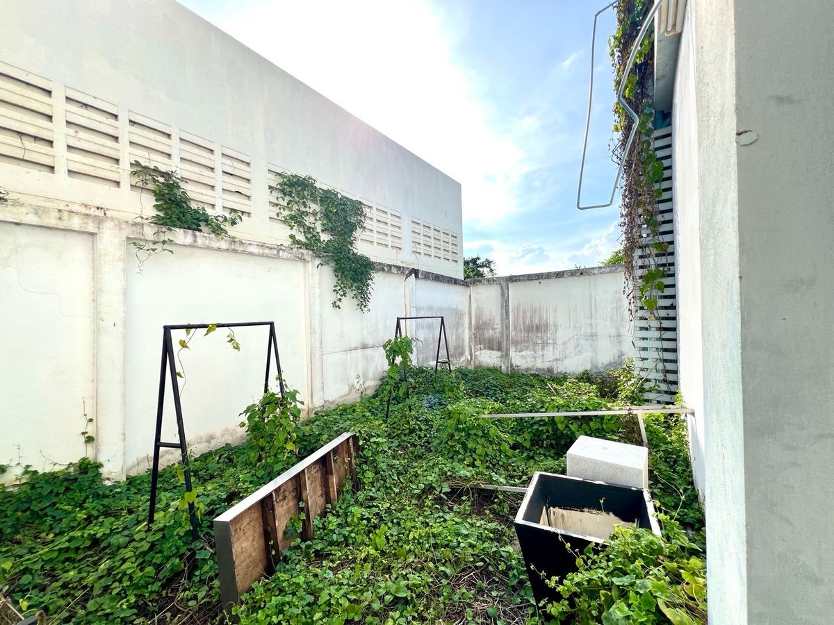 ขายอาคารพาณิชย์บางนา แบริ่ง ลาซาล : ขายถูกอาคารพาณิชย์ 2 คูหา 4 ชั้น 70 ตารางวา ใกล้ BTS แบริ่ง ทำเลดี เดินทางสะดวกหลายเส้นทาง