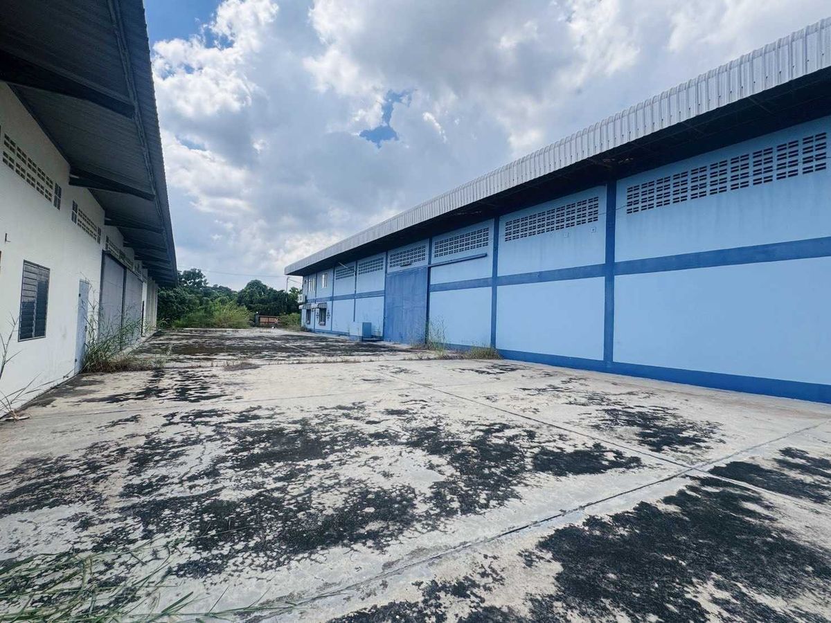 โกดังพัทยา บางแสน ชลบุรี สัตหีบ : ขายและให้เช่า โกดังเก็บสินค้าขนาด 800 ตร.ม ใกล้ นิคมอมตะนคร