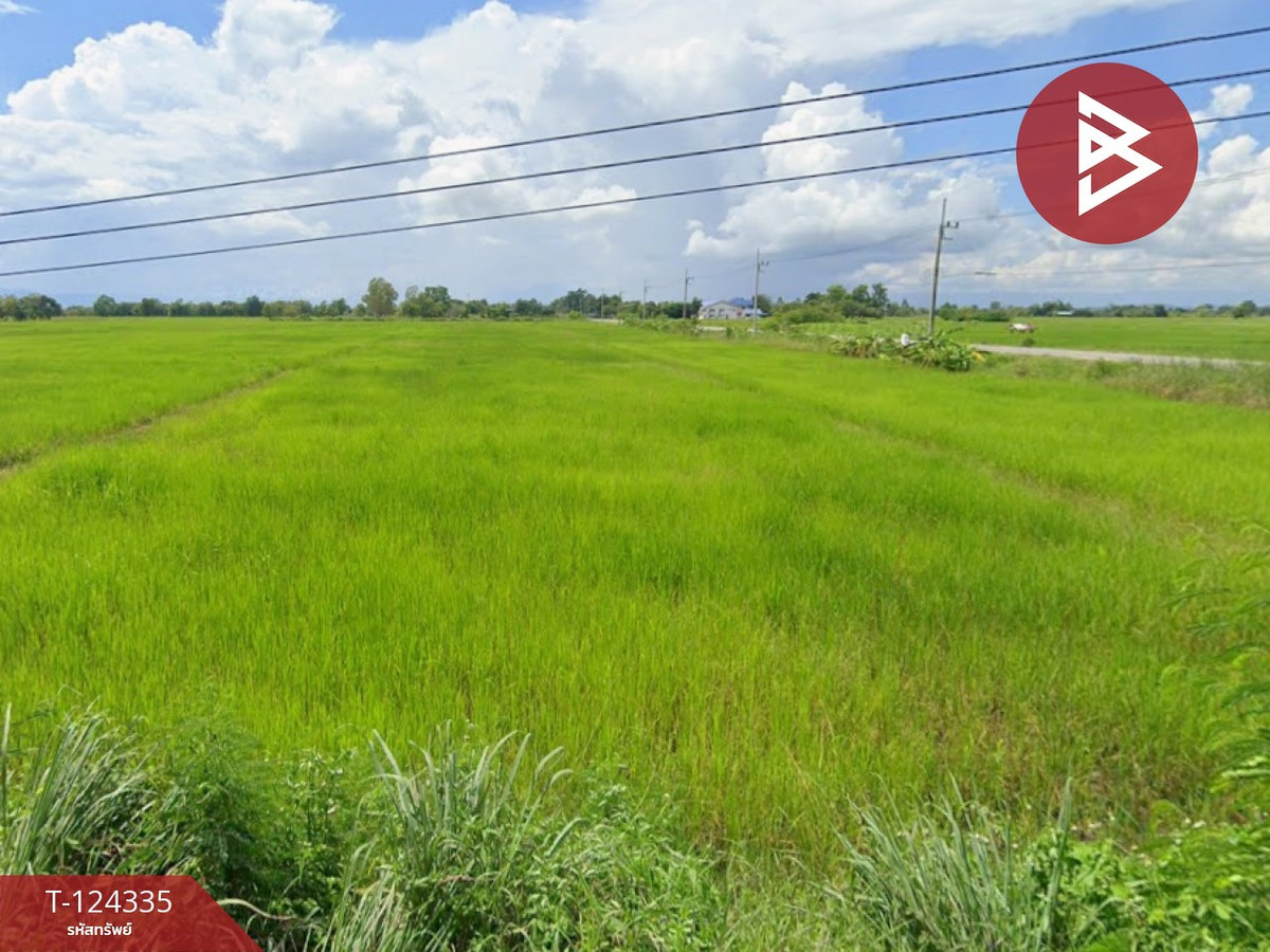 ขายที่ดินพะเยา : ขายที่ดิน เนื้อที่ 10 ไร่ 2 งาน 73 ตร.วา ดอกคำใต้ พะเยา