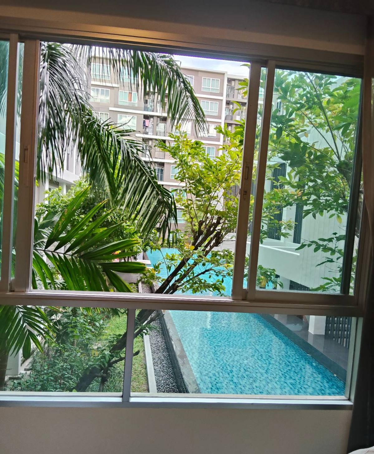 ให้เช่าคอนโดบางนา แบริ่ง ลาซาล : 🌿ให้เช่าคอนโด Dcondo Sukhumvit 109 พร้อมอยู่!! วิวสระว่ายน้ำเต็มตา พร้อมบรรยากาศรีสอร์ท สงบ ร่มรื่น เหมาะกับสายพักผ่อน / ทำงาน WFH / Expat