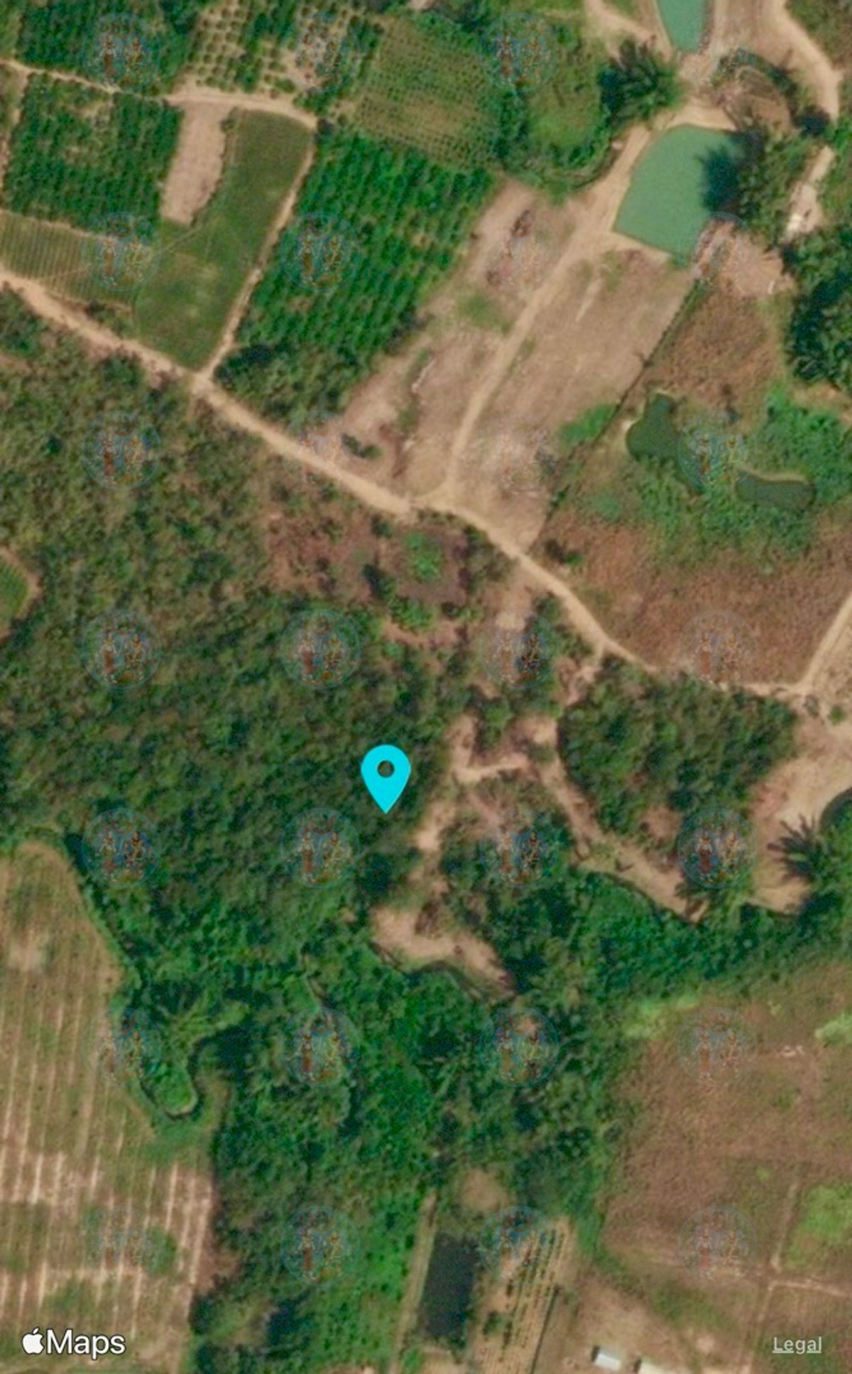 ขายที่ดินชะอำ เพชรบุรี : ที่ดินเปล่าติดถนนติดนำ้ทางไปพะเนินทุ่ง