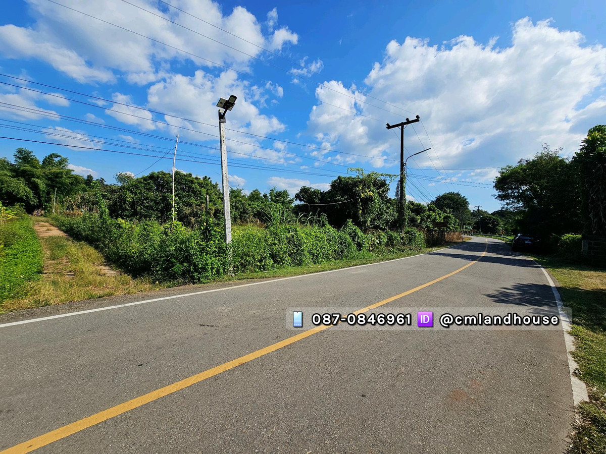 ขายที่ดินเชียงใหม่ : ที่ดิน 1-0-62ไร่ ขายถูก ตรว.ละ 2,814  ใกล้ขนส่งแม่แตง ติดถนนสายหลัก วิวดอย ติดลำเหมือง ไม่ต้องถม มีน้ำไฟครบ อยู่กลางชุมชน ย่านท่องเที่ยว ใกล้รีสอร์ท โฮมสเตย์ร้านอาหารมากมาย