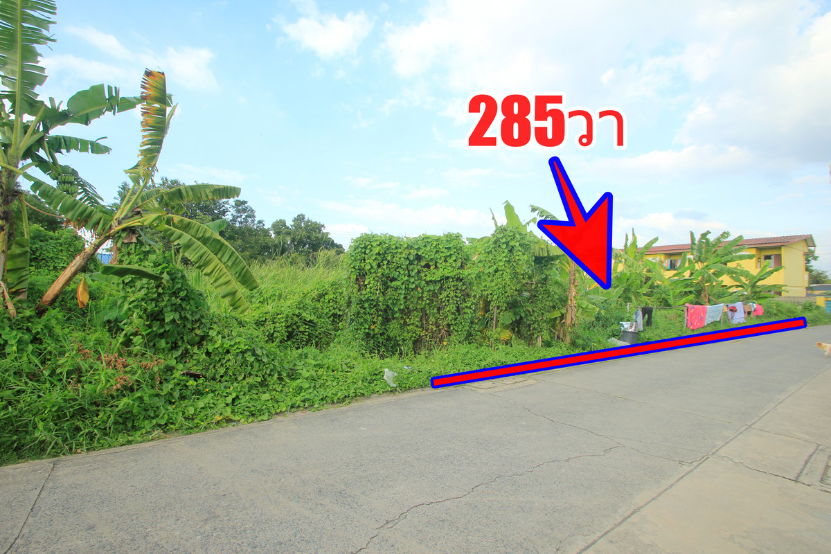 ขายที่ดินบางแค เพชรเกษม : ที่ดินเพชรเกษม69 เลียบคลองภาษีเจริญฝั่งเหนือ สวัสดิการ1แยก5/2  ที่ดิน 285ตารางวา ทำเลดี เหมาะสร้างบ้าน หอพัก โกดังเก็บของ เข้าออกได้หลายทาง ราคาถูก 