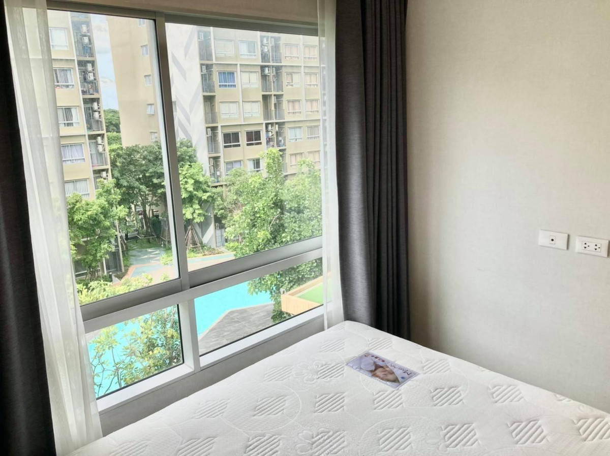 ขายคอนโดปทุมธานี รังสิต ธรรมศาสตร์ : ขาย Plum Condo Rangsit Alive 1วิวสวย ชั้น5 วิวสระ รีโนเวทใหม่ เจ้าของขายเอง ฟรีโอน
