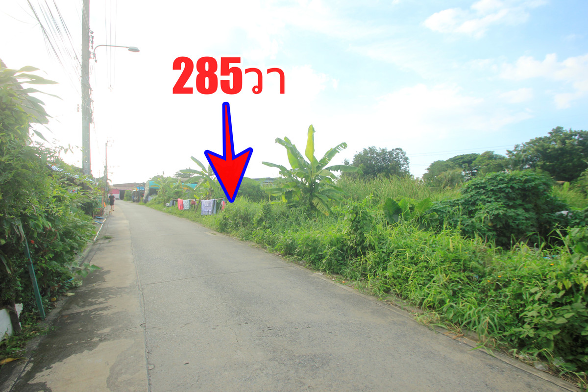 ขายที่ดินบางแค เพชรเกษม : ที่ดินเพชรเกษม69 เลียบคลองภาษีเจริญฝั่งเหนือ สวัสดิการ1แยก5/2  ที่ดิน 285ตารางวา ทำเลดี เหมาะสร้างบ้าน หอพัก โกดังเก็บของ เข้าออกได้หลายทาง ราคาถูก 