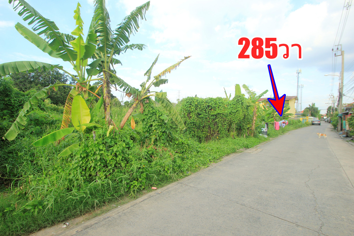 ขายที่ดินบางแค เพชรเกษม : ที่ดินเพชรเกษม69 เลียบคลองภาษีเจริญฝั่งเหนือ สวัสดิการ1แยก5/2  ที่ดิน 285ตารางวา ทำเลดี เหมาะสร้างบ้าน หอพัก โกดังเก็บของ เข้าออกได้หลายทาง ราคาถูก 
