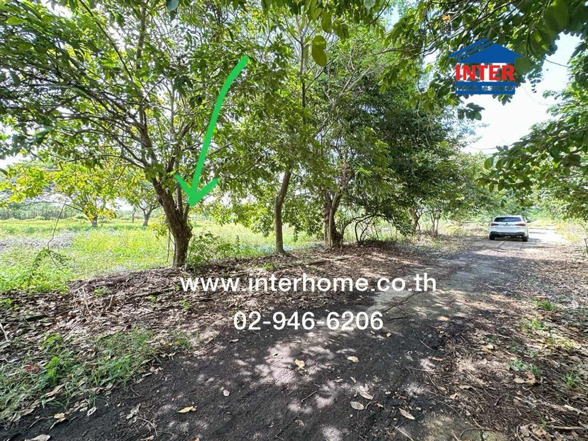 Empty land 400 sq m. Land near Sarasas Witaed Sai Noi School. Soi Khlong Ta Klai Bang Kruai–Sai Noi Road Kanchanaphisek Road, Chaiyaphruek Road, Bang Bua Thong, Nonthaburi Loading...