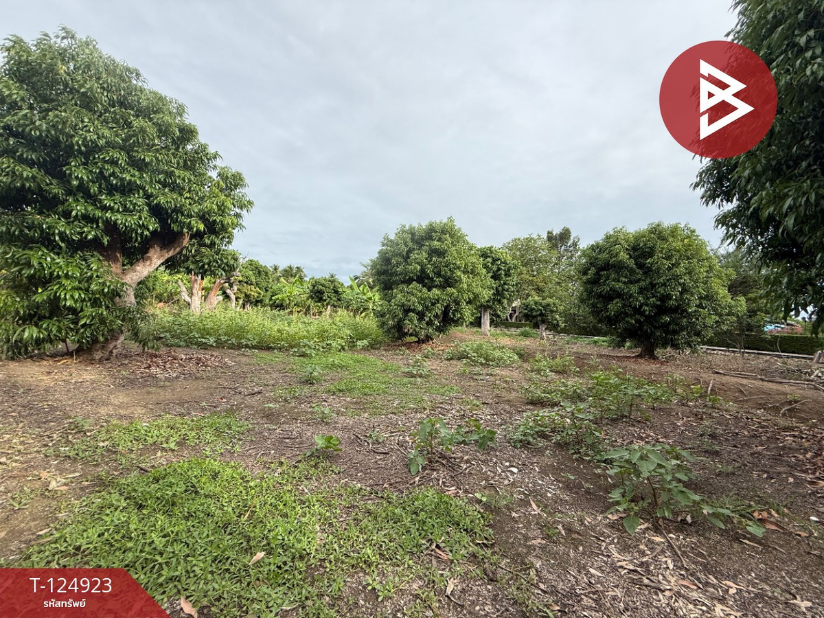 For SaleLandSamut Songkhram : Land for sale, area 3 ngan 32.5 sq m, Amphawa, Samut Songkhram.
