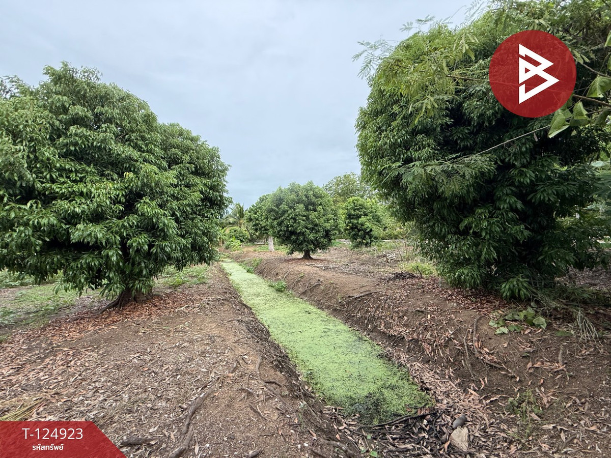 Land for sale, area 3 ngan 32.5 sq m, Amphawa, Samut Songkhram. Loading...