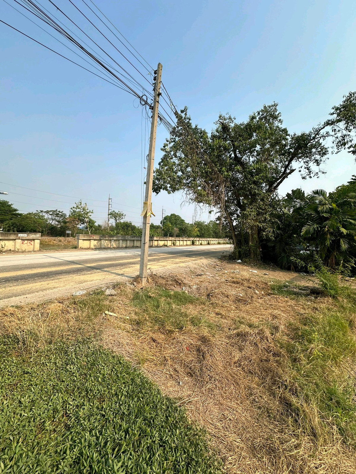 Land in Lam Luk Ka, Khlong 13, size 101-1-75 rai, near Reignwood Park. Loading...