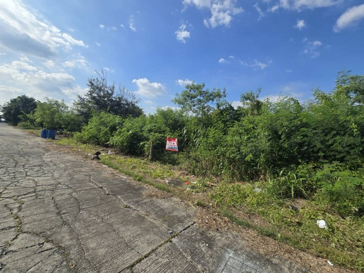 Empty land for sale in Pathum Thani, 2-0-41.1 rai, near Techno Thani. and the science museum, prime location for investment, water and electricity ready Loading...