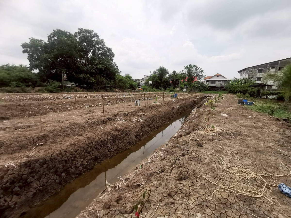 For SaleLandSukhumvit, Asoke, Thonglor : Beautiful land for sale, Sukhumvit 62, 3 rai.