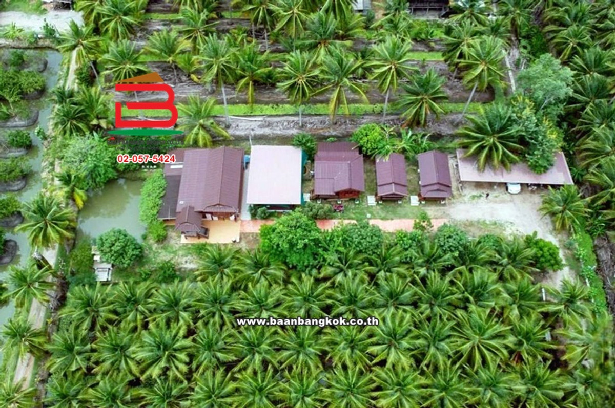 Land with buildings, area 3-0-18 sq m., good location, near Phoprak Coffee Shop, Chom Pluak Subdistrict, Bang Khonthi District, Samut Songkhram Province. Loading...