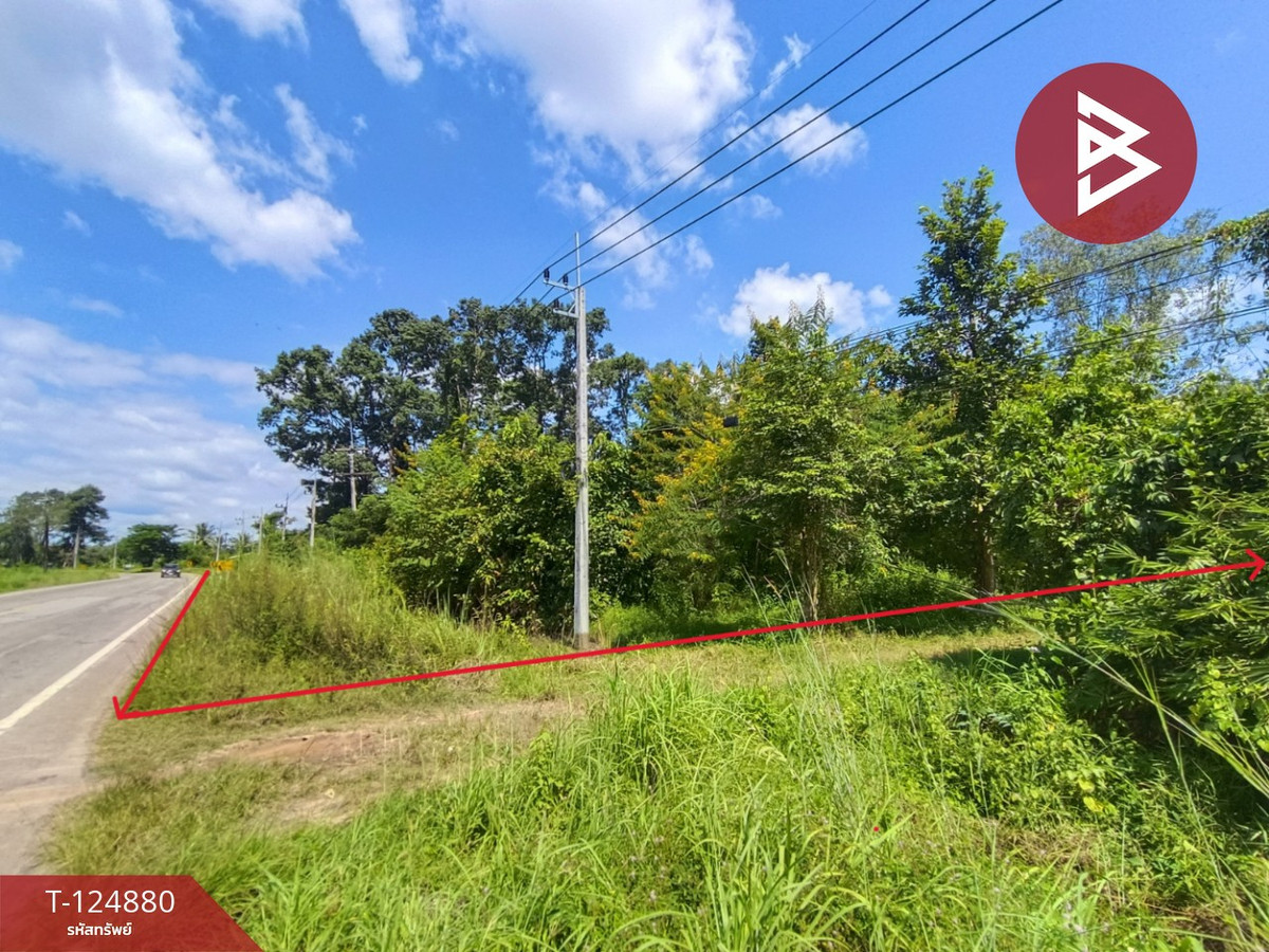 Land for sale, area 11 rai 1 ngan 83 sq m, Seka, Bueng Kan Loading...