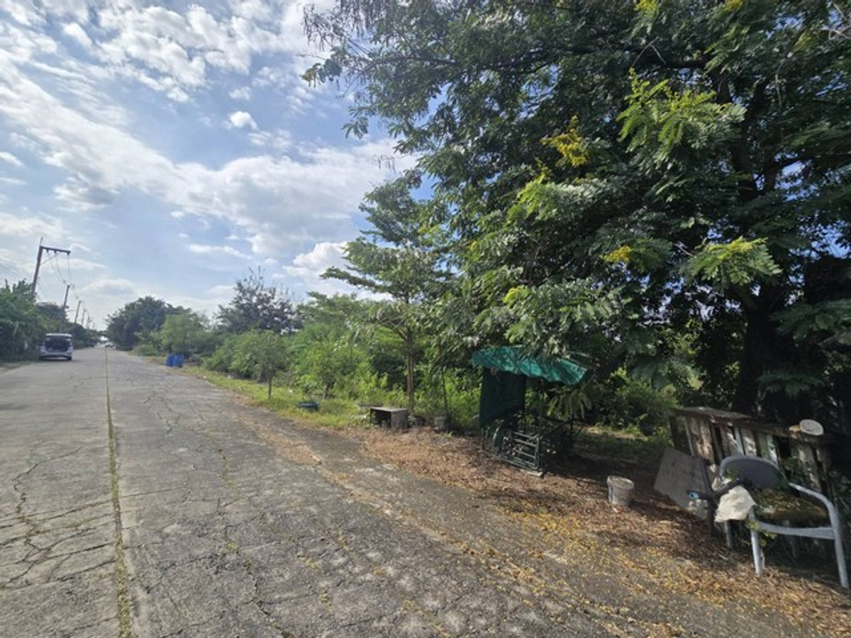 Empty land for sale in Pathum Thani, 2-0-41.1 rai, near Techno Thani. and the science museum, prime location for investment, water and electricity ready Loading...