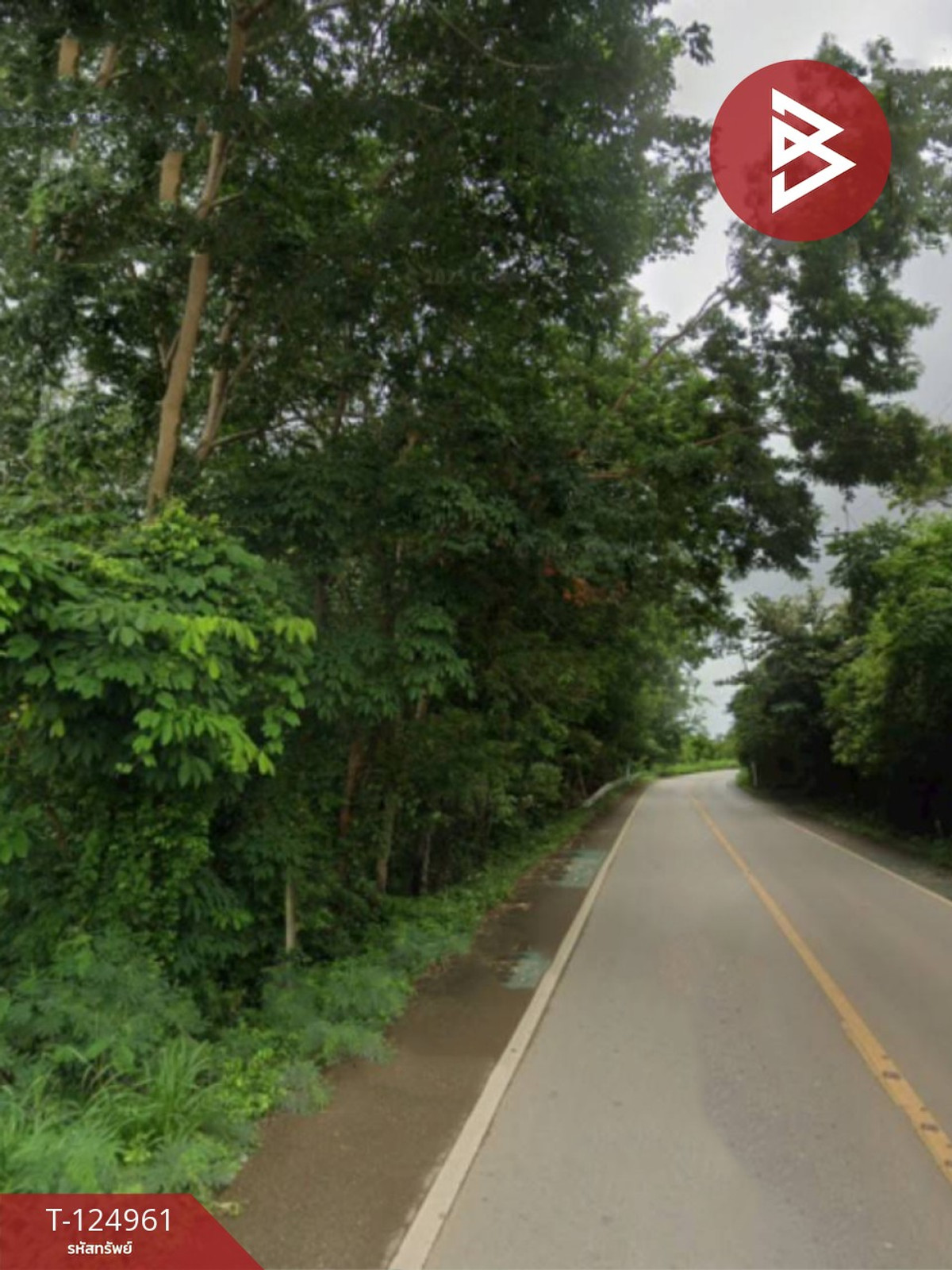 For SaleLandChanthaburi : Land for sale, area 3 rai 3 ngan 4 sq m, Na Yai Am, Chanthaburi.