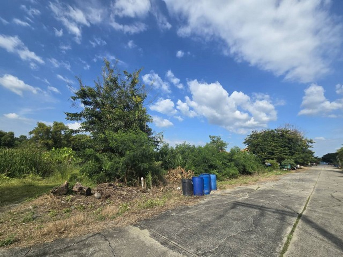 Empty land for sale in Pathum Thani, 2-0-41.1 rai, near Techno Thani. and the science museum, prime location for investment, water and electricity ready Loading...