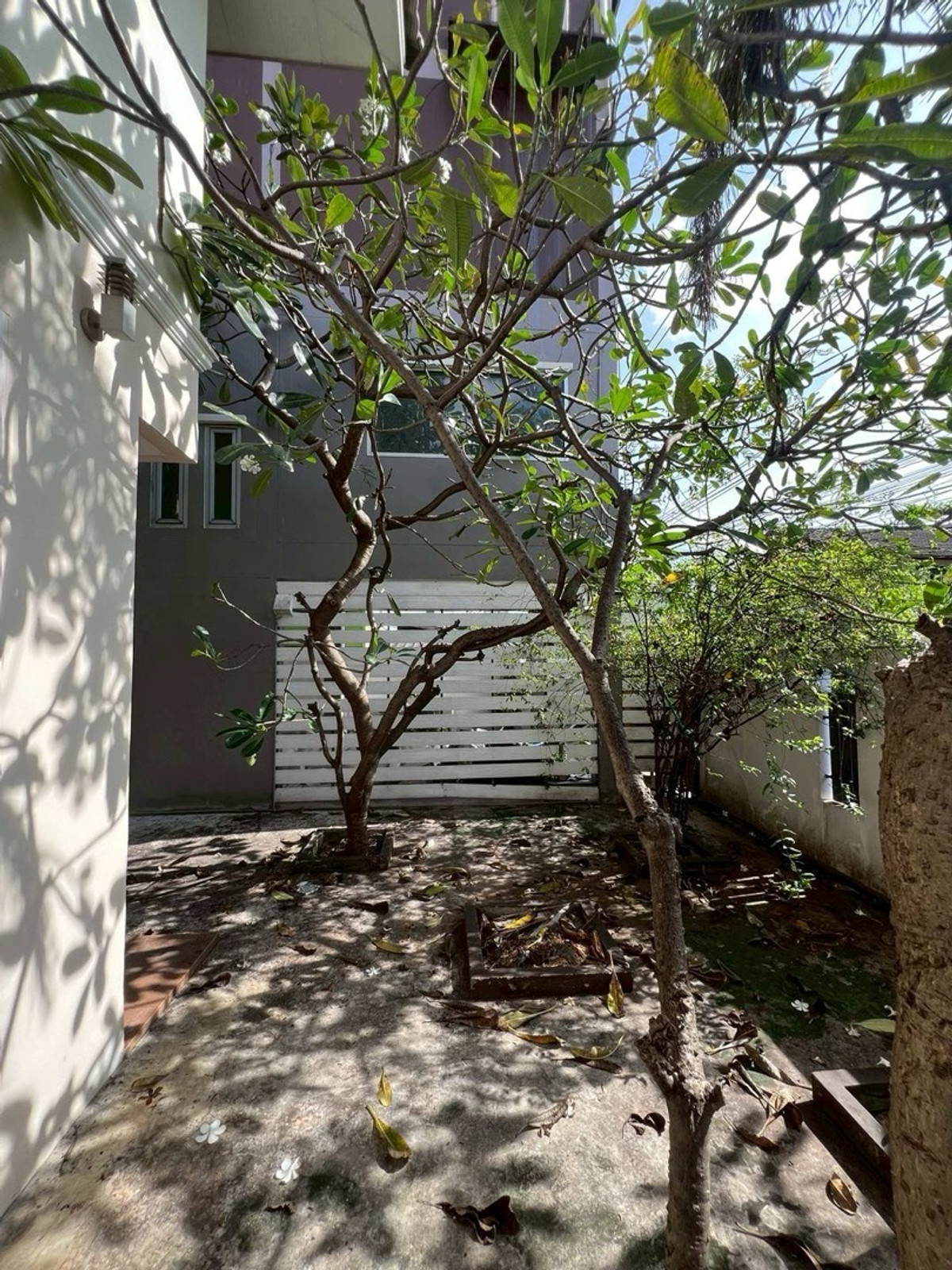 For RentHome OfficeOnnut, Udomsuk : Home office for rent, Wachiratham Sathit 53, Sukhumvit 101/1, near BTS Punnawithi.