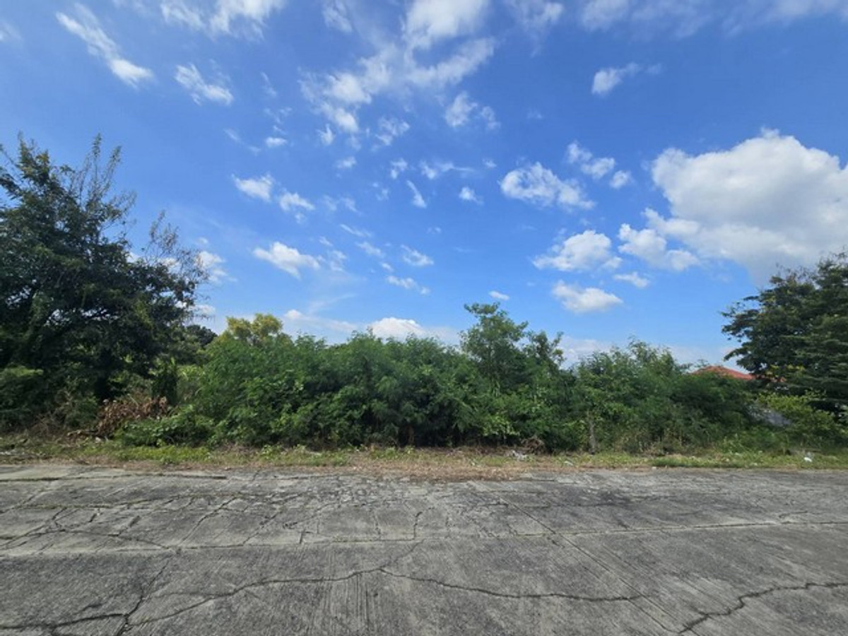 For SaleLandPathum Thani,Rangsit, Thammasat : Empty land for sale in Pathum Thani, 2-0-41.1 rai, near Techno Thani. and the science museum, prime location for investment, water and electricity ready