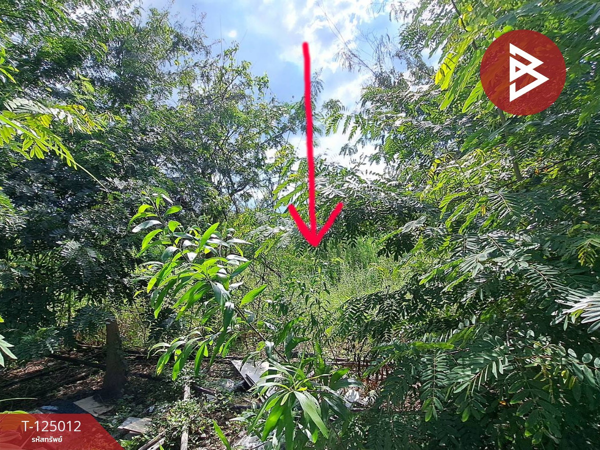 Land for sale, area 89 square meters, Phutthamonthon, Nakhon Pathom Loading...