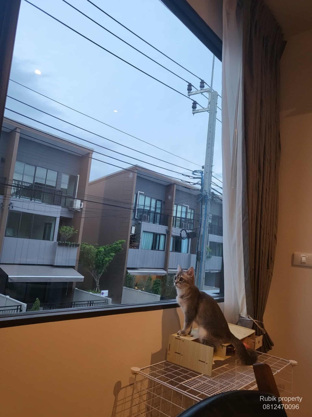 ทาวน์โฮมอ่อนนุช อุดมสุข : (RB1346) 🏡 ขาย/เช่า ทาวน์โฮม “บ้านกลางเมือง สุขุมวิท–อ่อนนุช” ✨ ทำเลดี ใกล้รถไฟฟ้า 2 สาย | พร้อมอยู่ | เฟอร์ครบ ✨